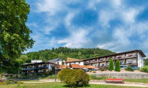 Hotels in Wolfach